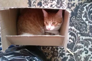 Mám novou krabici