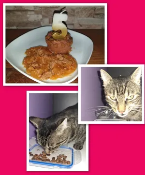 Dne 27. 8. 2025 měla Julinka 5 let. Ale oslavila to včera.❤️