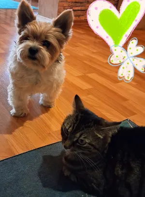 Julinka a Matýsek❤️