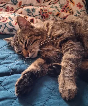 ❤️