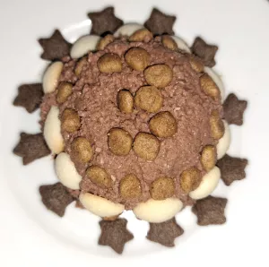 Dneska má Julinka 3 roky. Tak jsme jí s bráchou udělali kočičí mini dort. ❤️