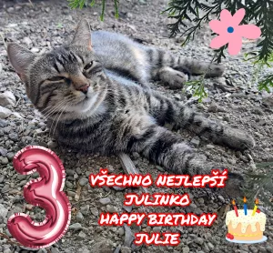 Julinka 3 roky. Všechno nejlepší, kočičí princezno. Hodně štěstí,zdraví,lásky, pohody a spokojenosti. Máme tě všichni moc rádi. Jsi naše zlatíčko. ❤️