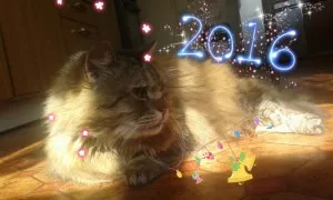 šťastný nový rok 2016